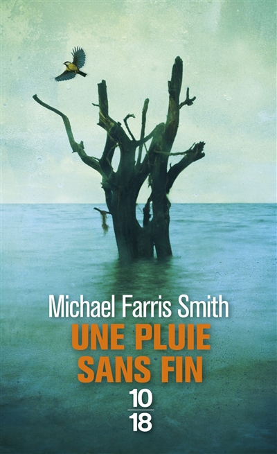 Une pluie sans fin de Michael Farris Smith poche
